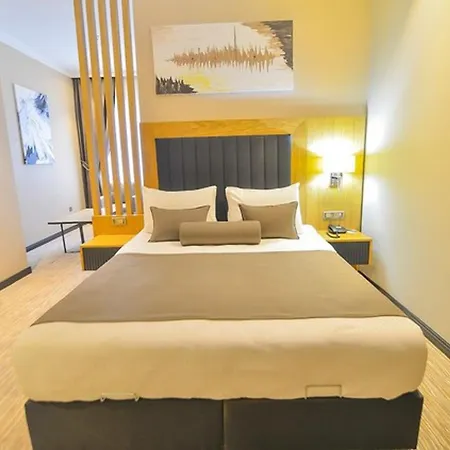 Hotel Mayi