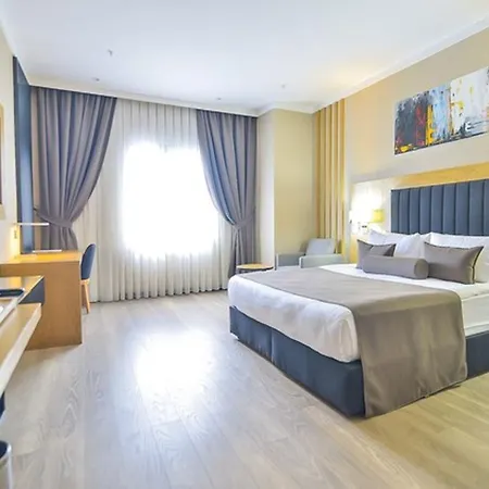 Hotel Mayi
